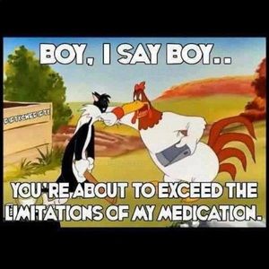 Meet your Posher, Ty